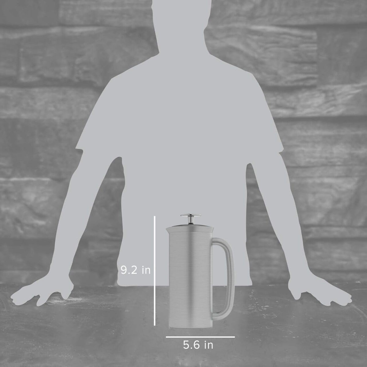18oz Brushed Stainless Steel French Press N621