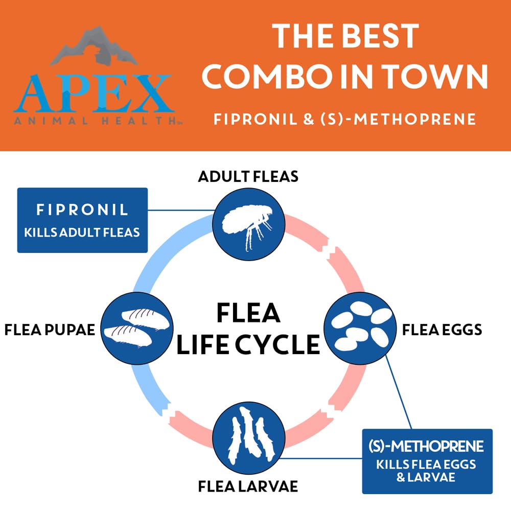 Flea & Tick Prevention for Small Dogs 3-Month Supply Q345