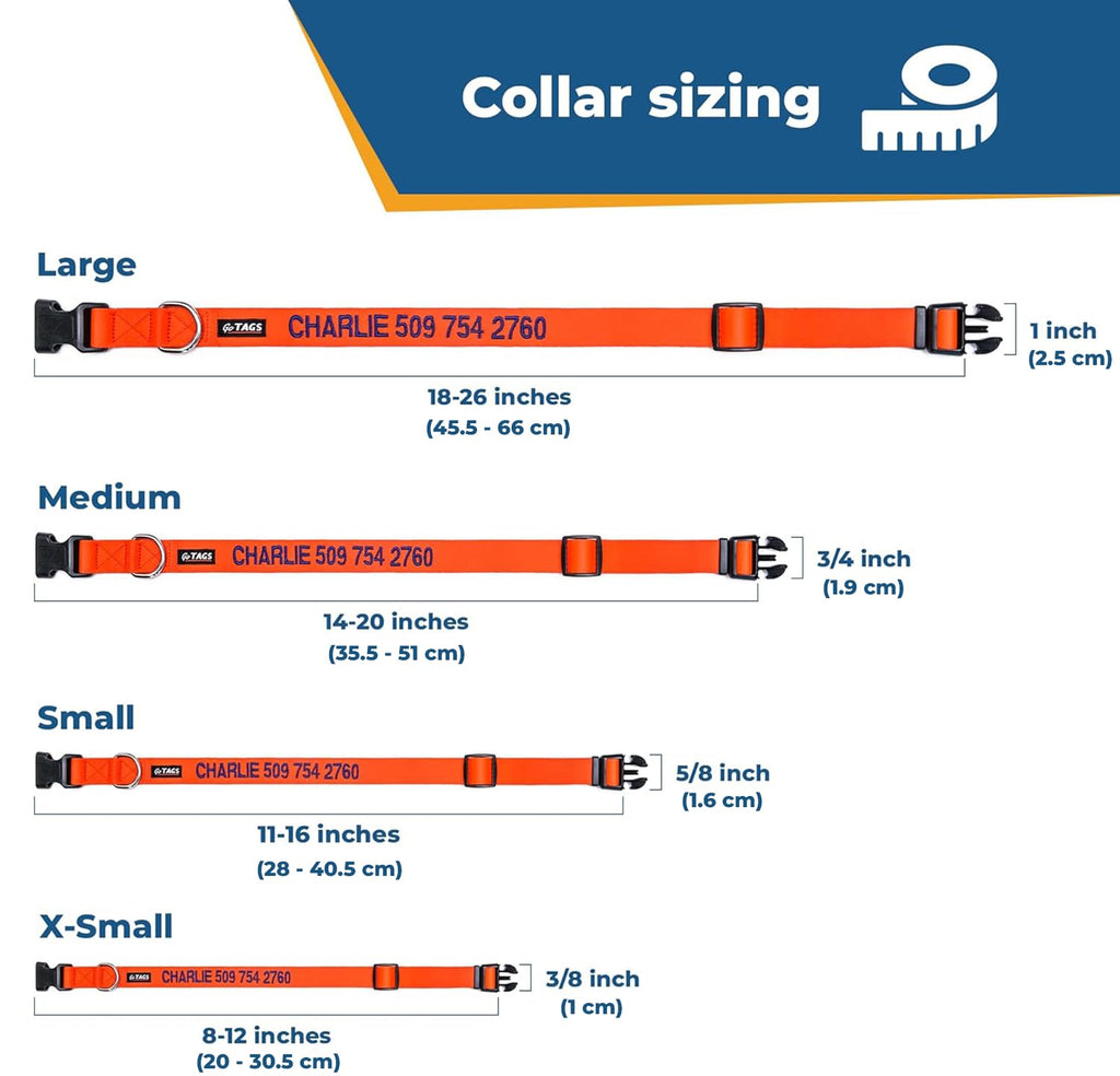 Personalized Dog Collar Q42854