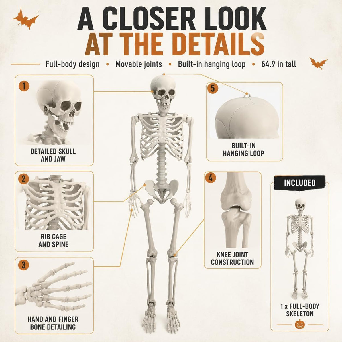 Life Size Posable Skeleton Prop Decoration L5896