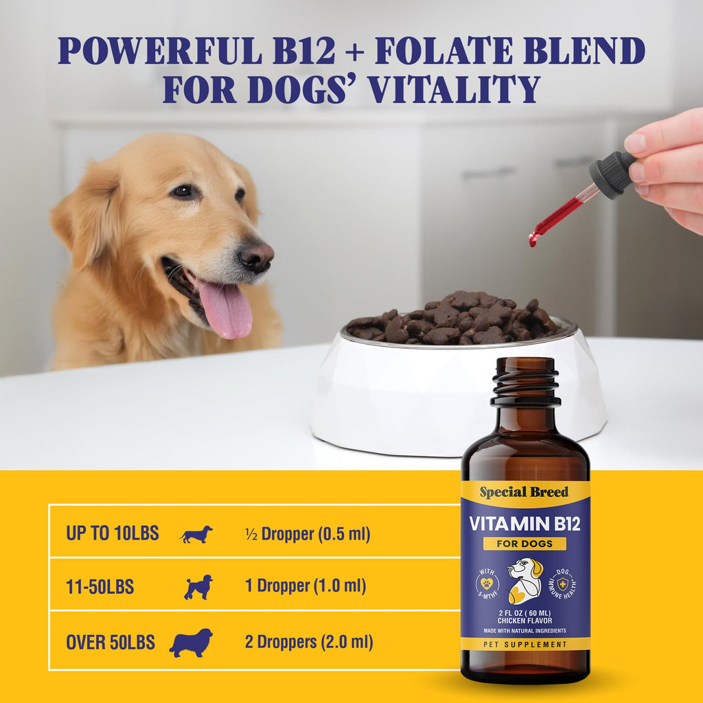 Liquid Vitamin B12 for Dogs, Chicken Flavor, 2 fl oz P926
