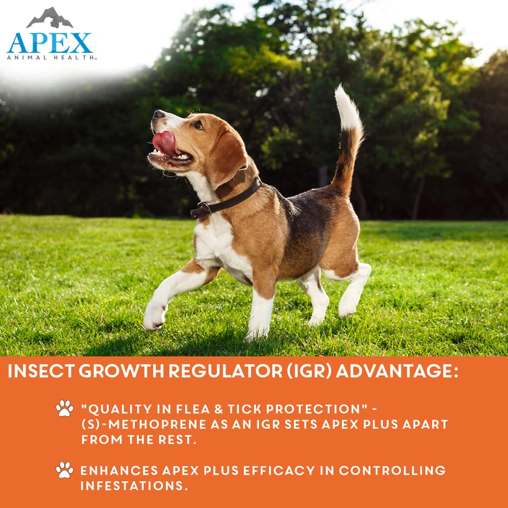 Flea & Tick Prevention for Small Dogs 3-Month Supply Q345