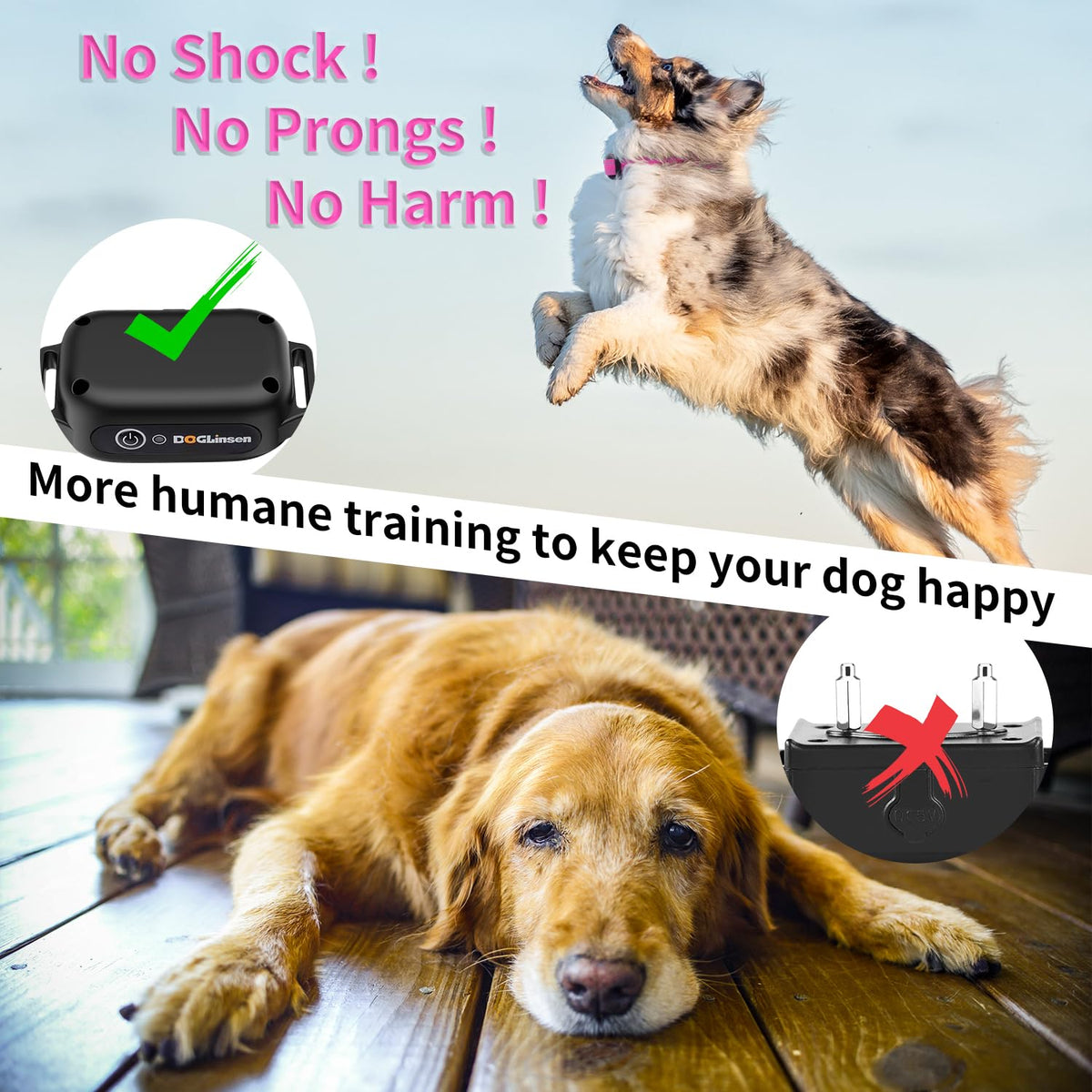 Dog Training Collar with Remote V409269