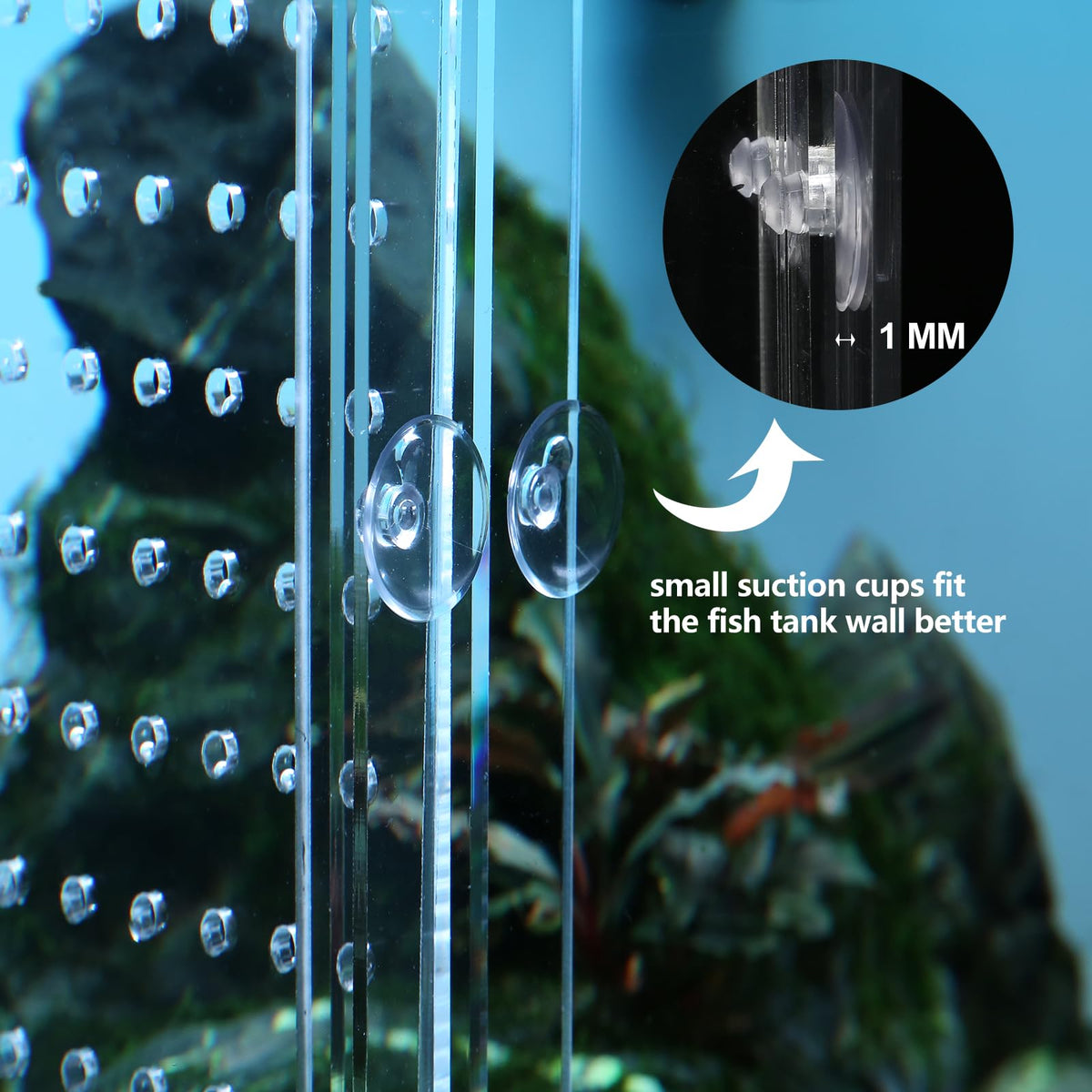 Acrylic Fish Tank Divider with Suction Cups F11828