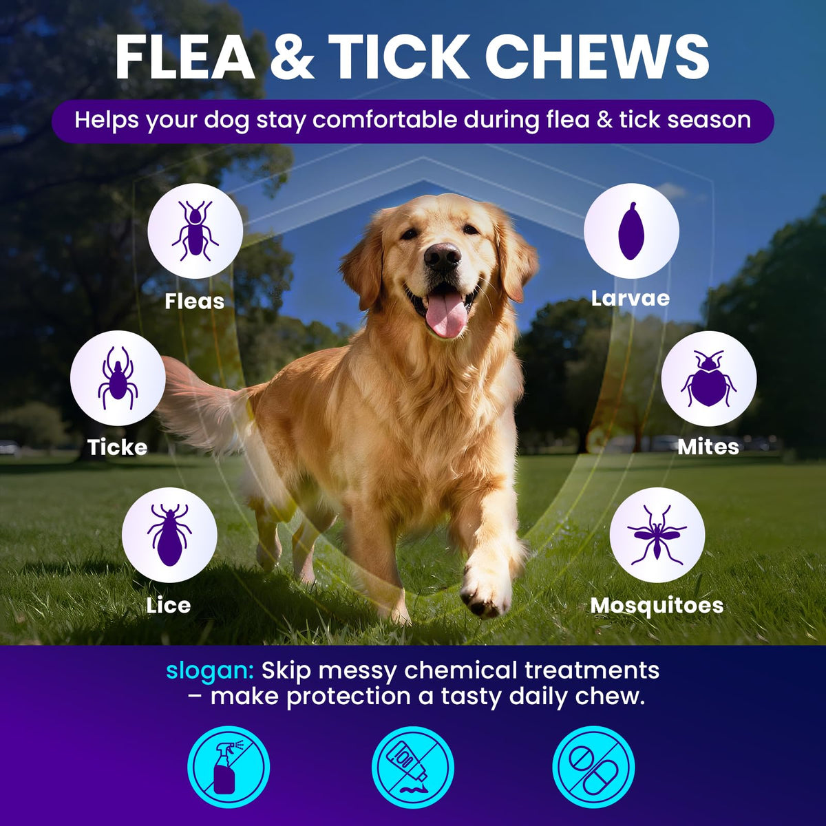 Chicken Flavor Soft Chews for Dogs Z995121