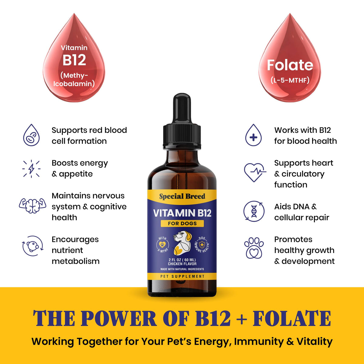 Liquid Vitamin B12 for Dogs, Chicken Flavor, 2 fl oz P926