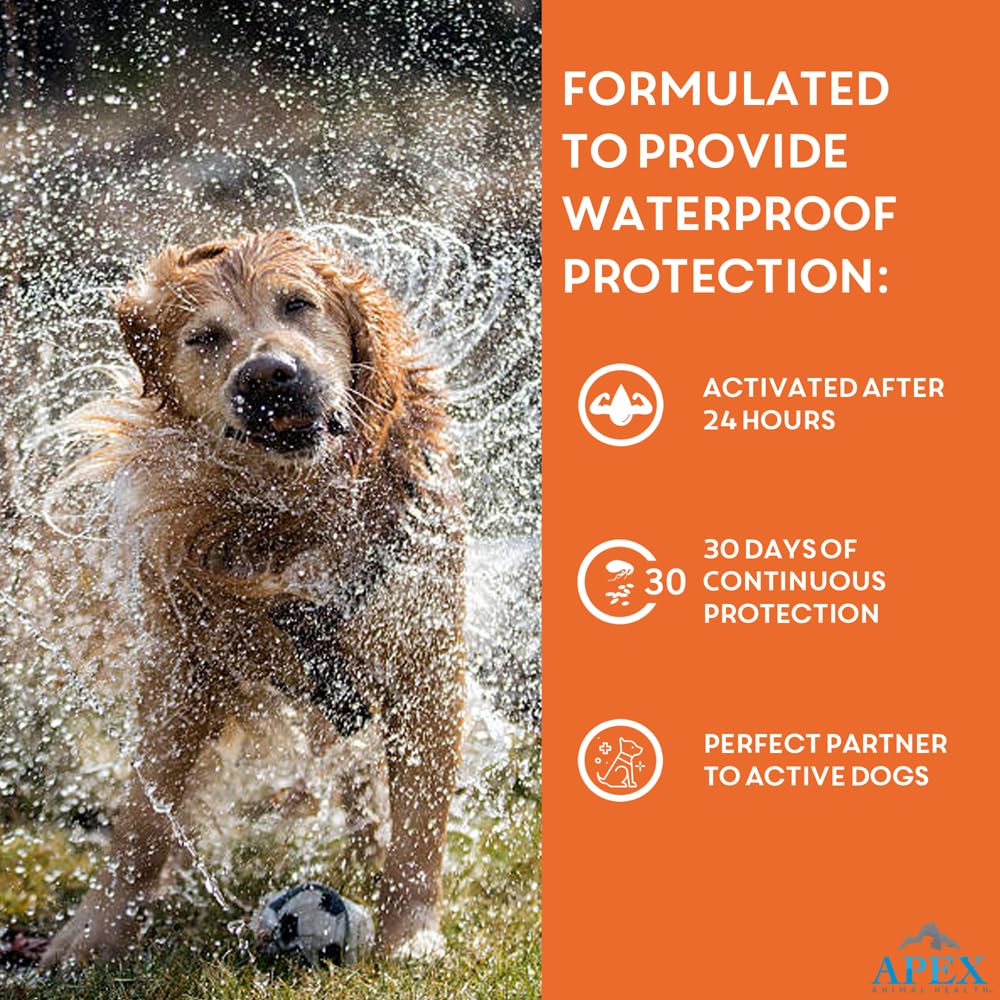 Flea & Tick Prevention for Small Dogs 3-Month Supply Q345