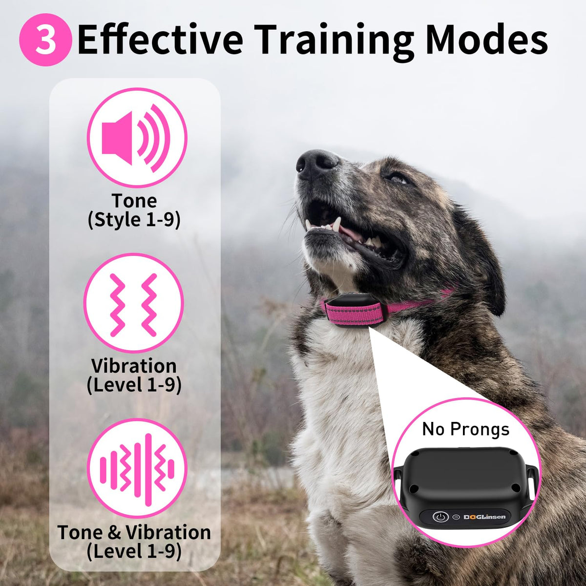 Dog Training Collar with Remote V409269