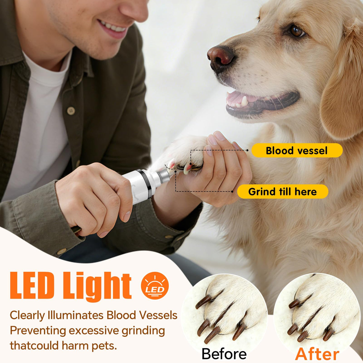 Electric 3 Speeds Dog Nail Grinder with Lights F611665