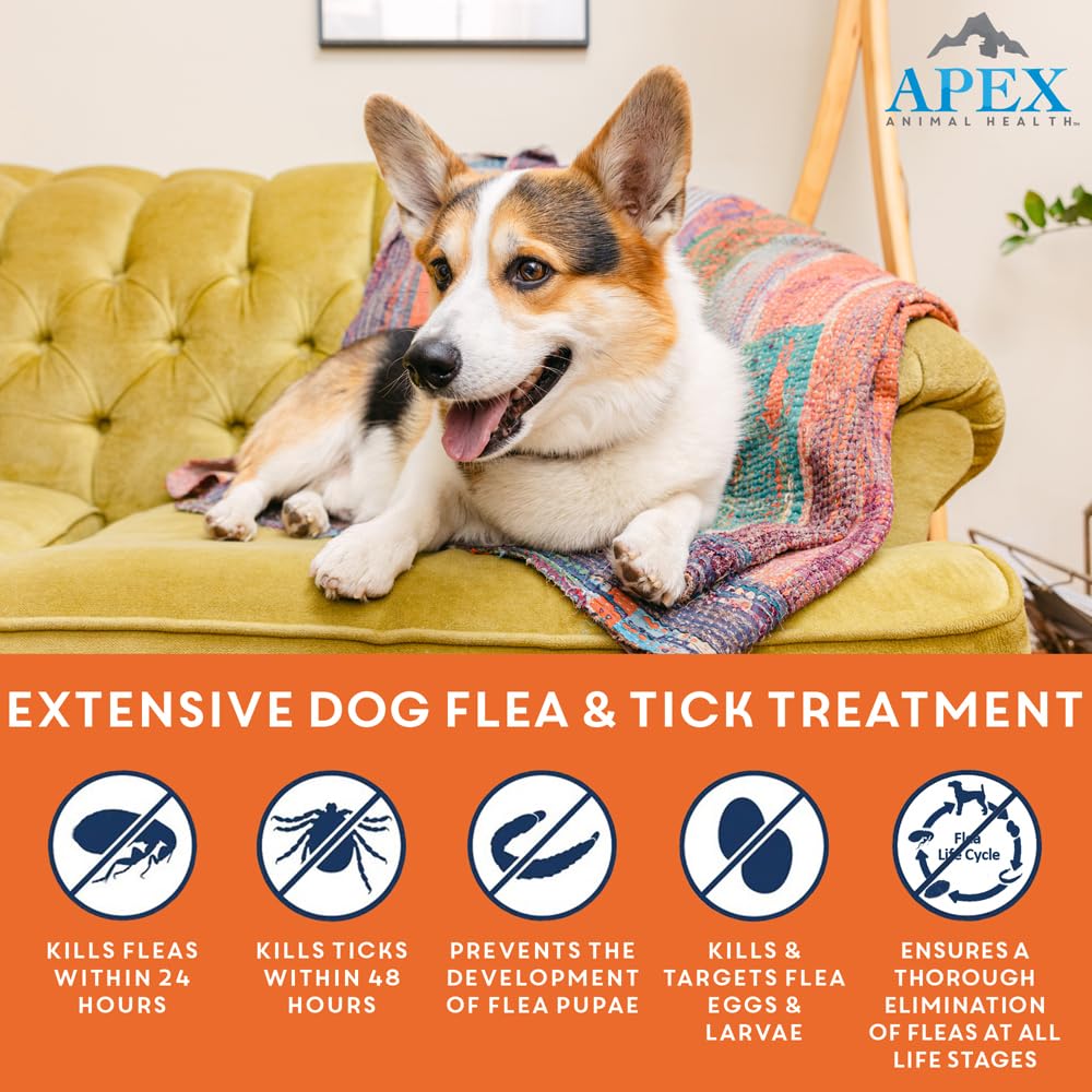 Flea & Tick Prevention for Small Dogs 3-Month Supply Q345