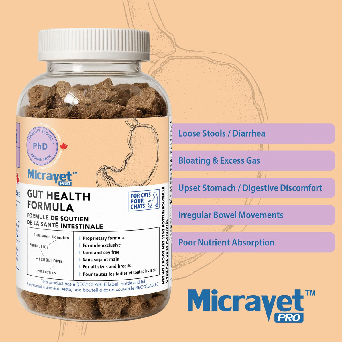 Probiotic Soft Chews for Cats Q7005