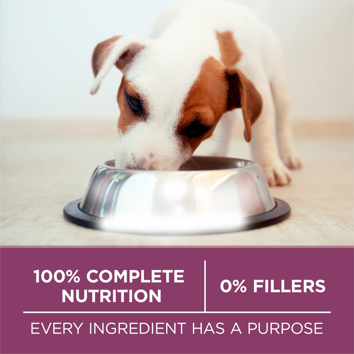 Chicken Dry Puppy Food 8 lb Bag P33760