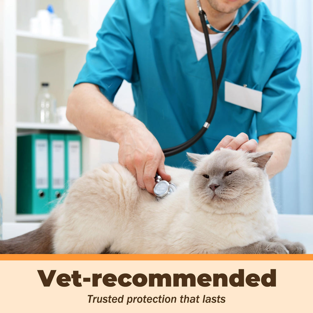 Fenbendazole Liquid 10% Dewormer 150ml A293