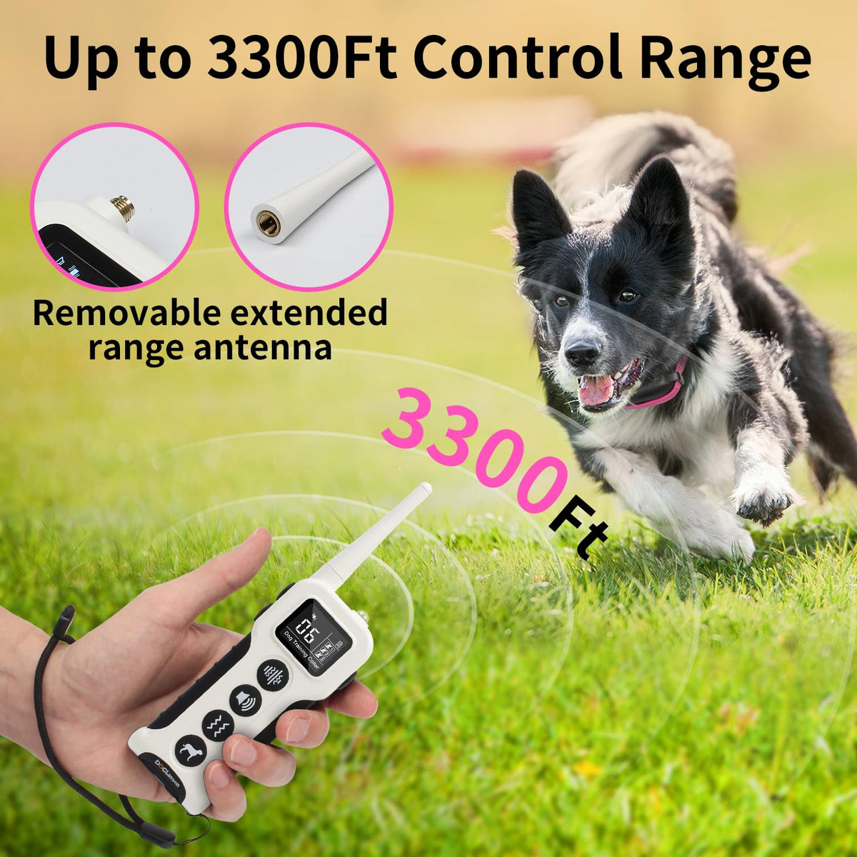 Dog Training Collar with Remote V409269