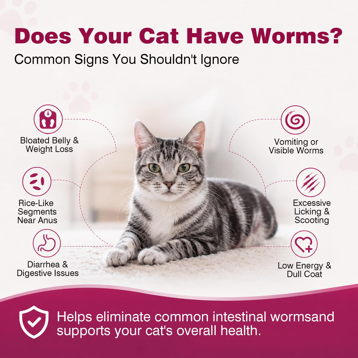 Broad-Spectrum Dewormer for Cats and Kittens, 12 Tablets K331936