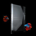 Acrylic Fish Tank Divider with Suction Cups F11828