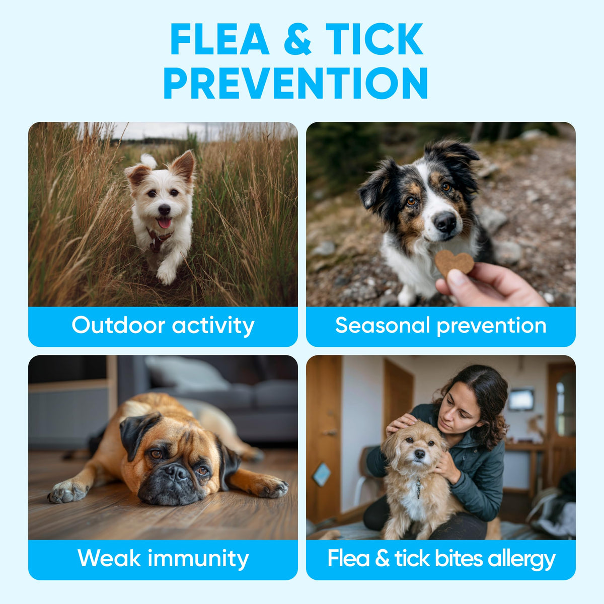 Chewable Flea and Tick Prevention for Dogs 120 Soft Chews I3087
