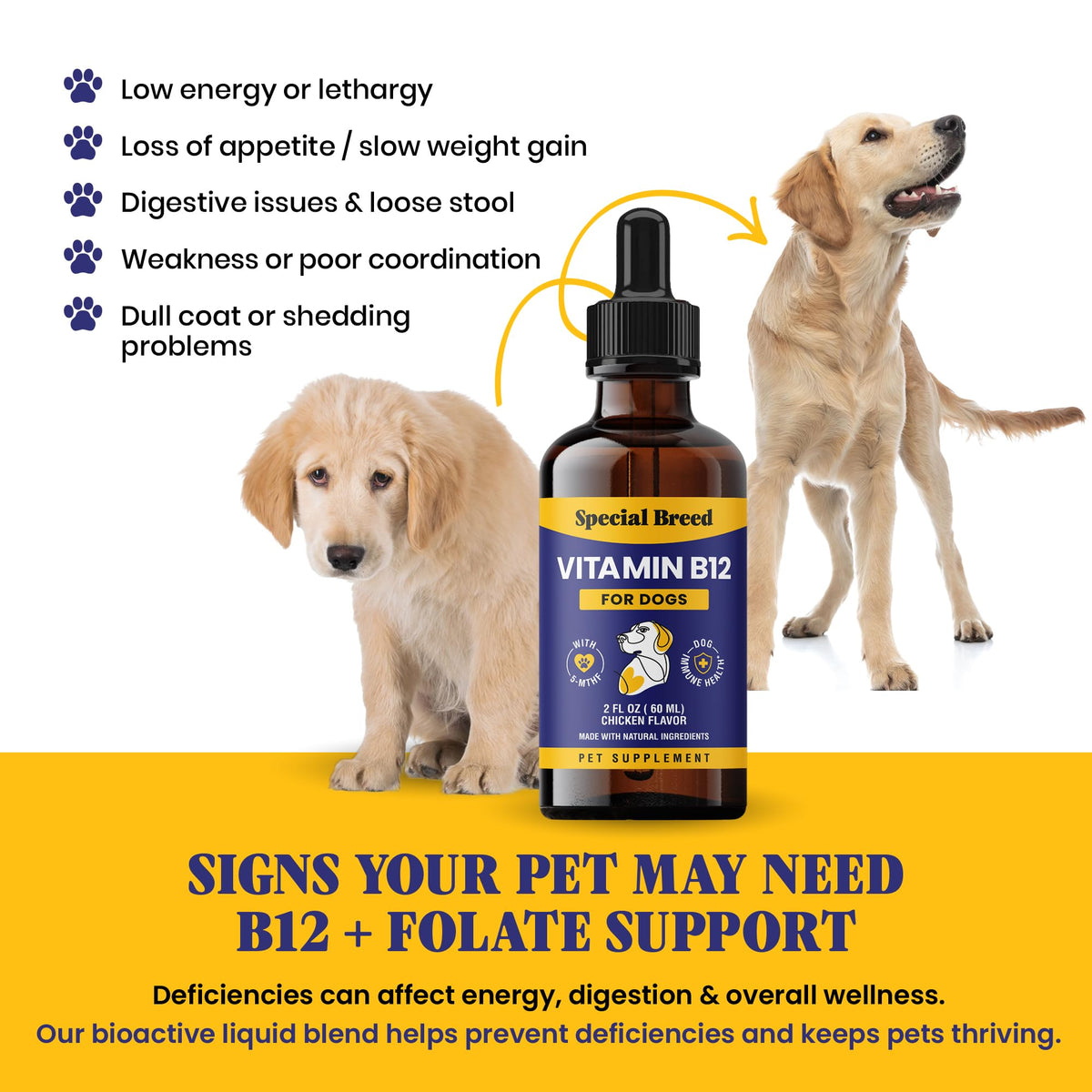 Liquid Vitamin B12 for Dogs, Chicken Flavor, 2 fl oz P926