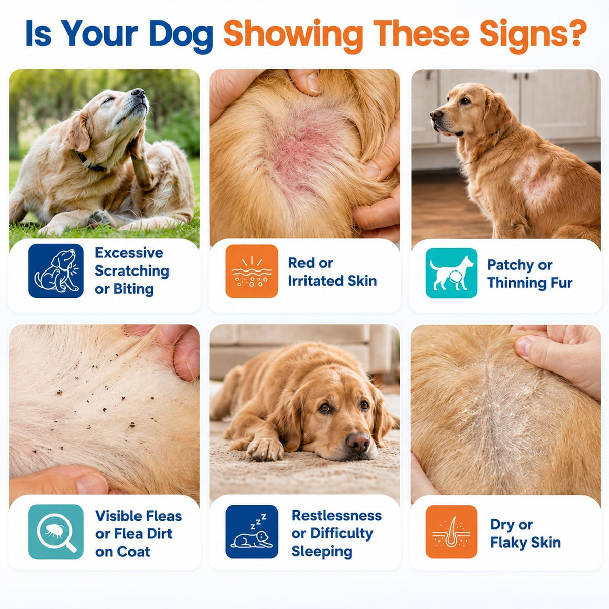 Flea and Tick Chews N218
