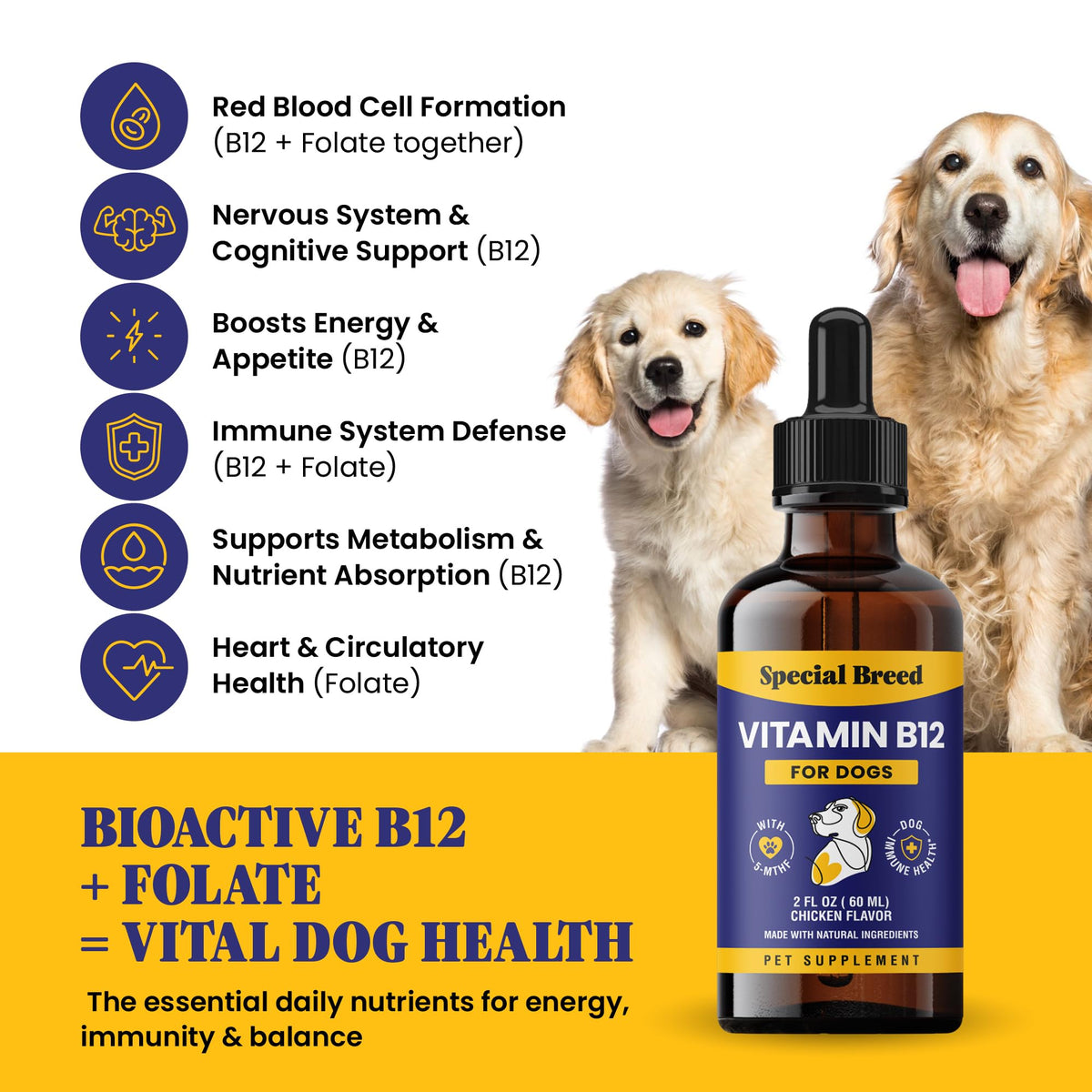 Liquid Vitamin B12 for Dogs, Chicken Flavor, 2 fl oz P926