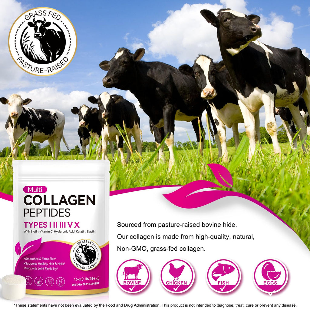 Multi Collagen Peptides Powder Types I II III V X 16 Oz Hydrolyzed with Biotin Unflavored E690