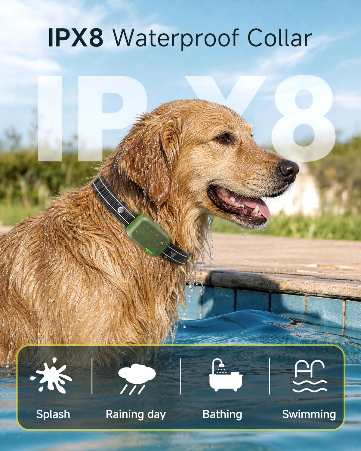 Dog Training Collar with Remote W376