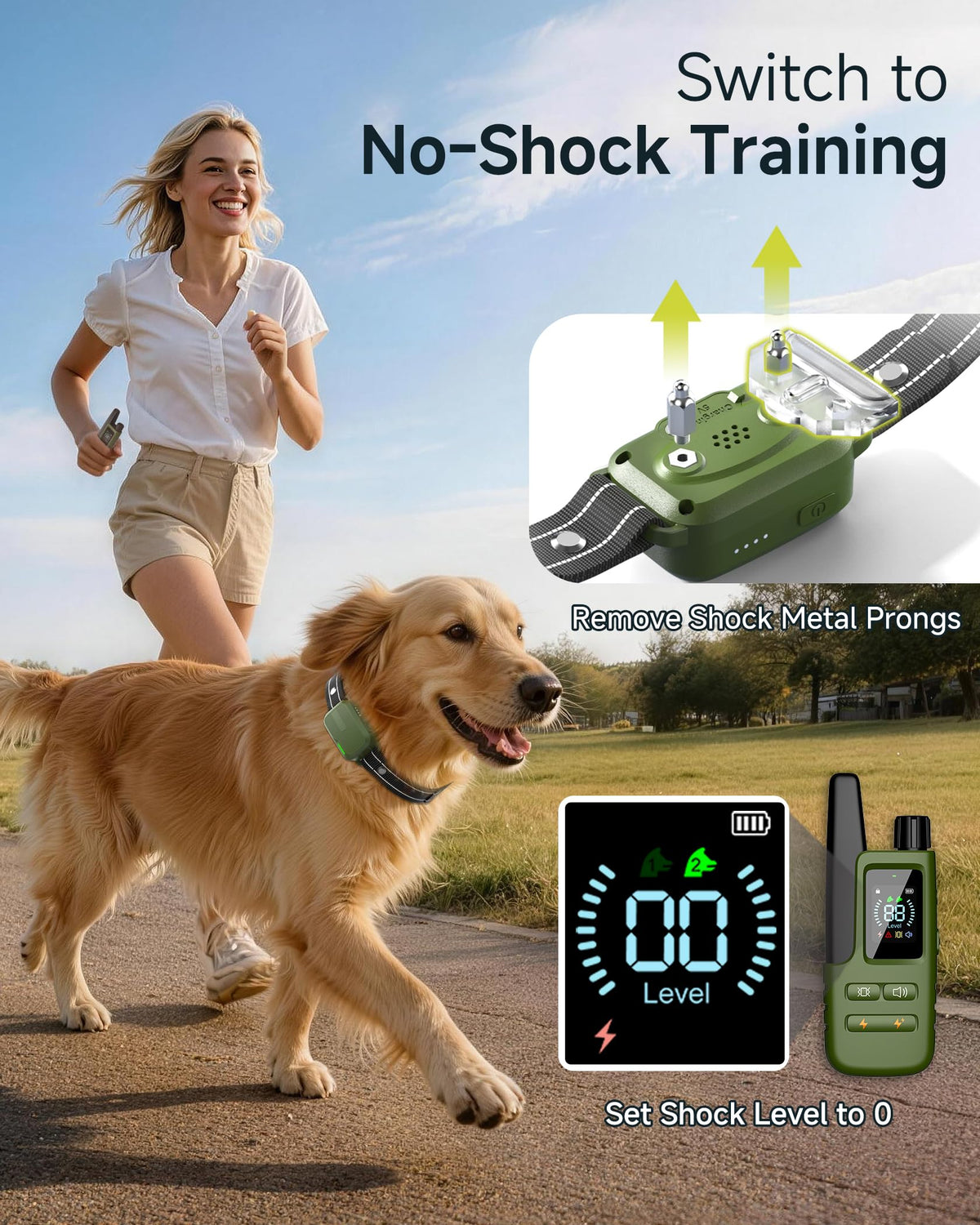 Dog Training Collar with Remote W376