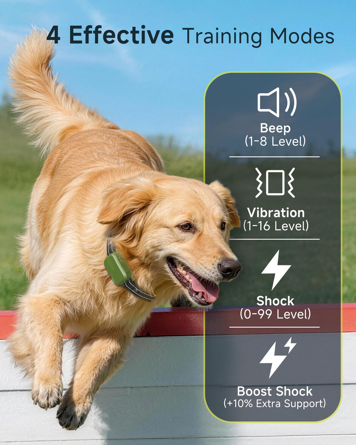 Dog Training Collar with Remote W376