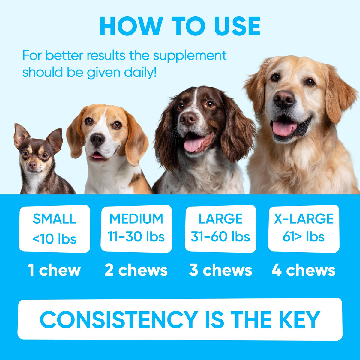 Chewable Flea and Tick Prevention for Dogs 120 Soft Chews I3087