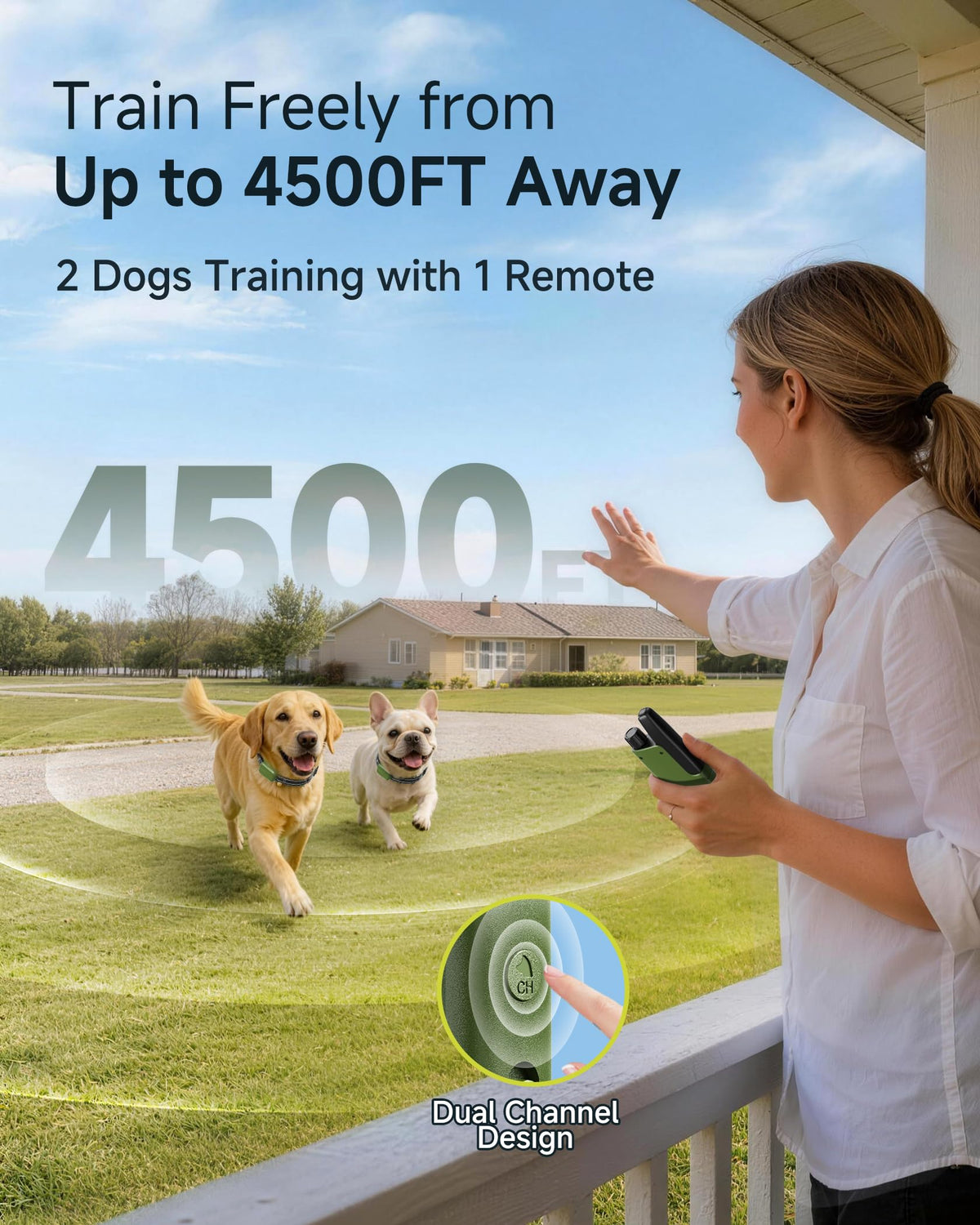 Dog Training Collar with Remote W376