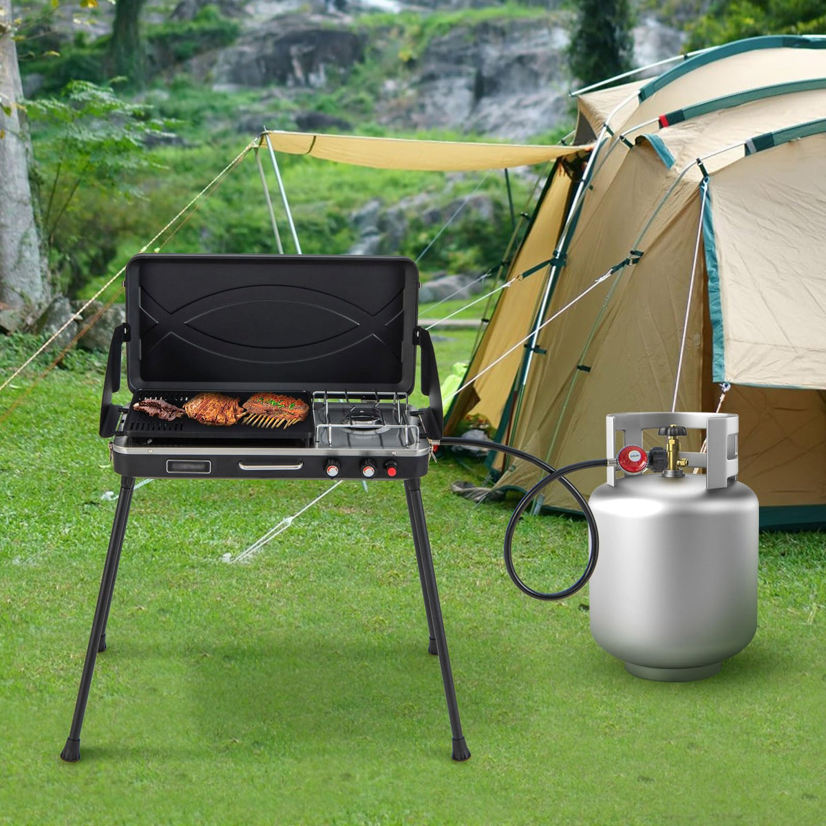 2-Burner Camping Stove with Removable Leg Stand N387723