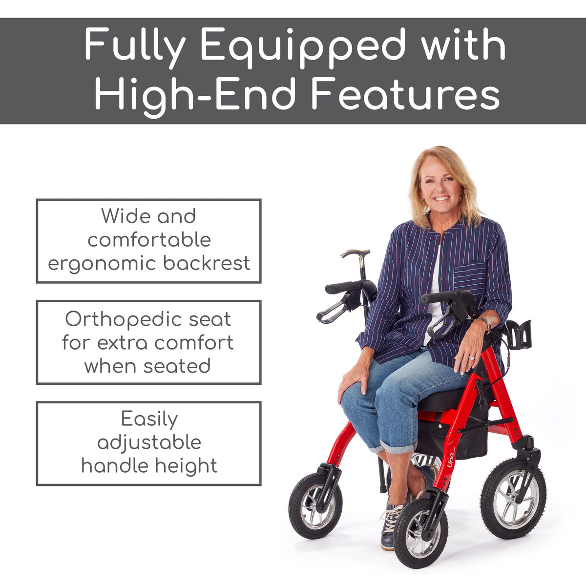 All Terrain Rolling Walker with Pneumatic Tires H3794
