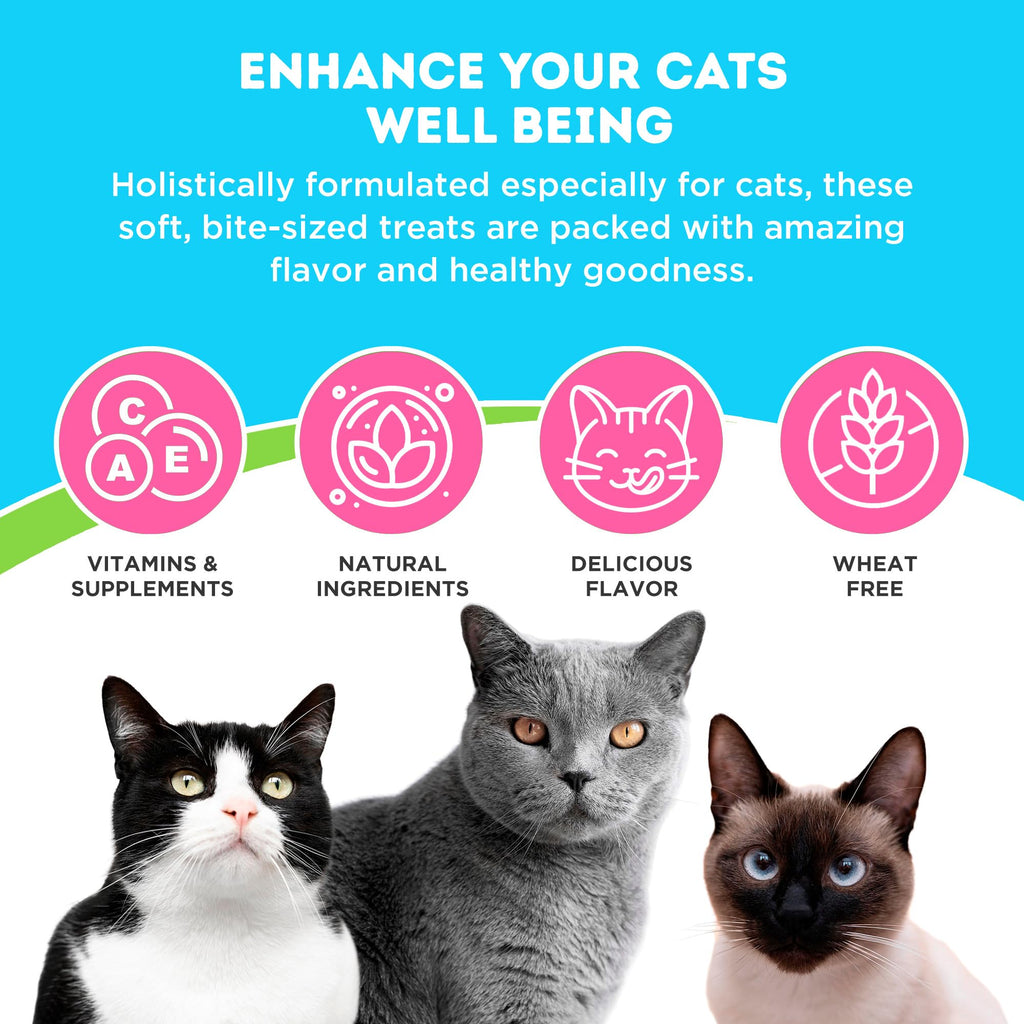 Chicken and Liver Flavor Soft Chews for Cats 60 Count O562