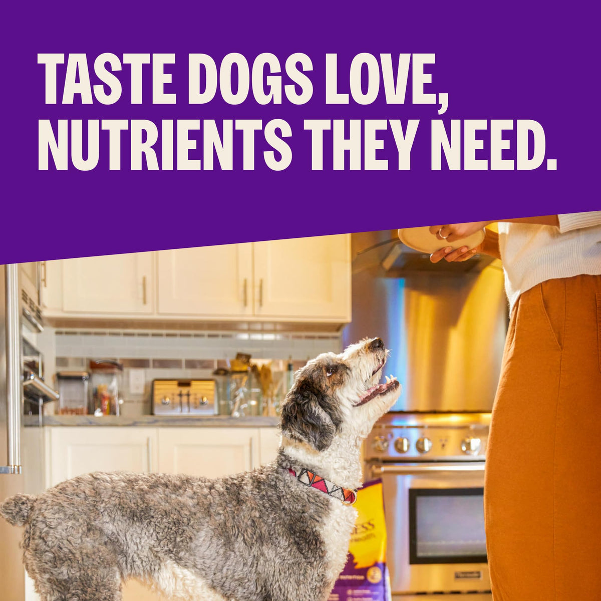Large Breed Adult Dry Dog Food Chicken and Brown Rice 30 lb Bag T83871