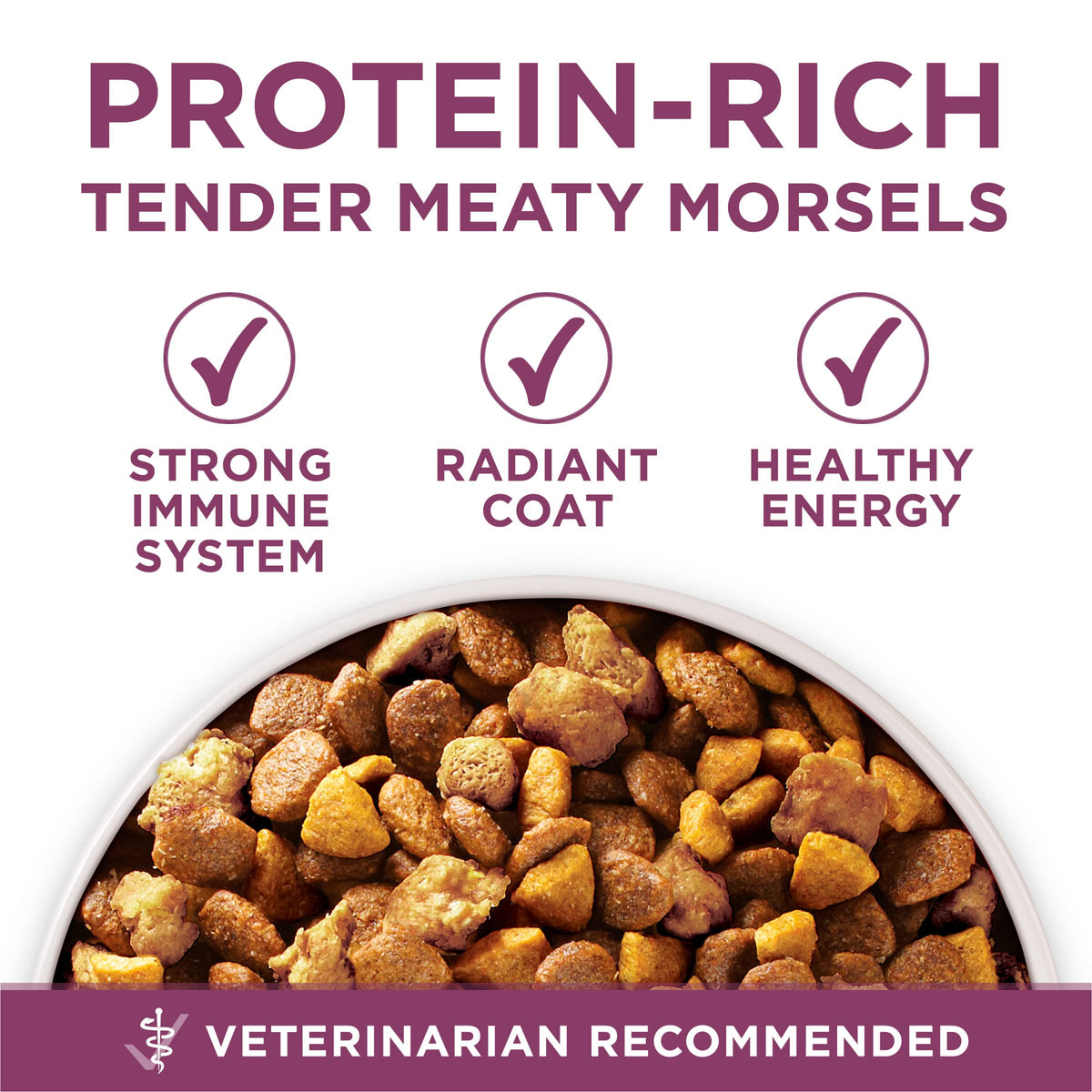 Chicken Dry Puppy Food 8 lb Bag P33760