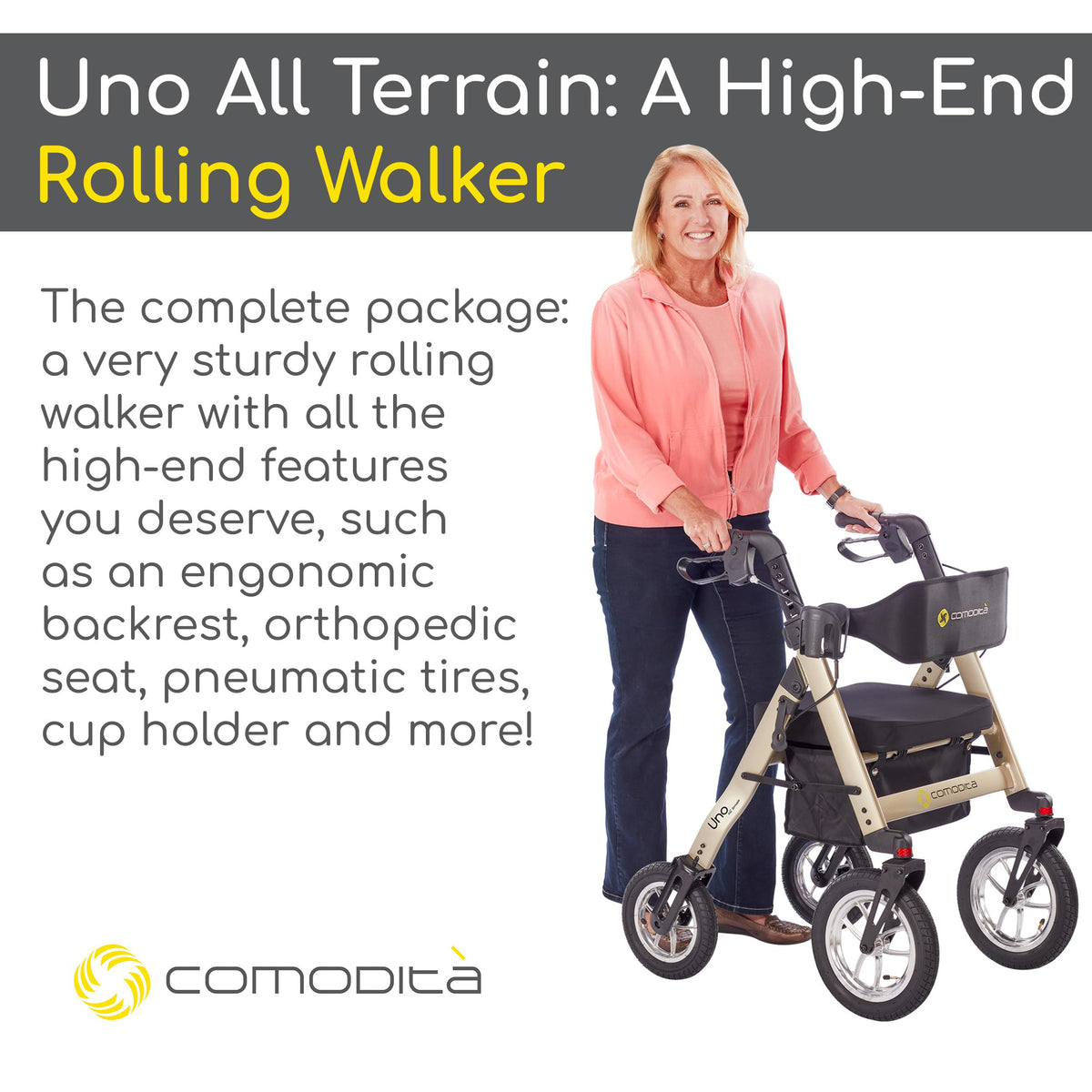 All Terrain Rolling Walker with Pneumatic Tires H3794