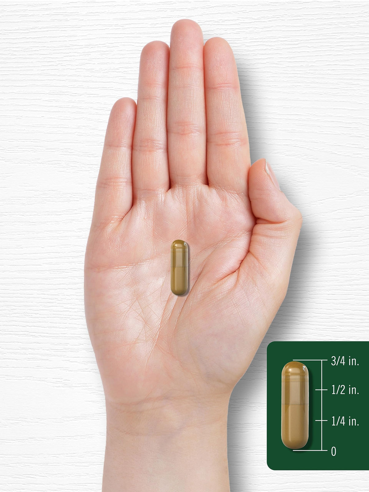 Cinnamon Complex with Gymnema and Mulberry 150 Capsules L9140