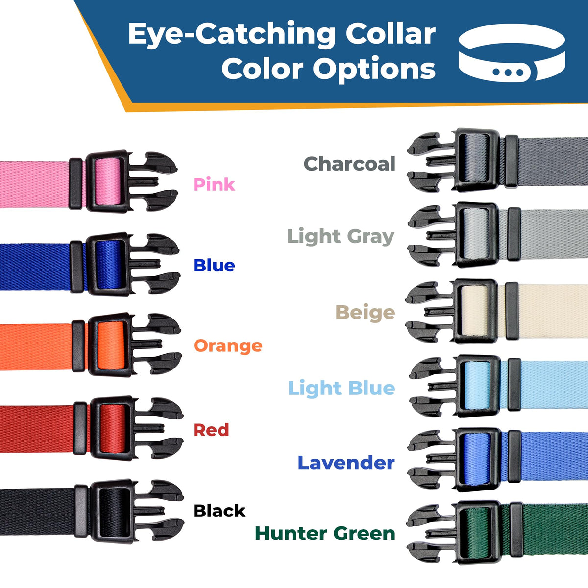 Personalized Dog Collar Q42854