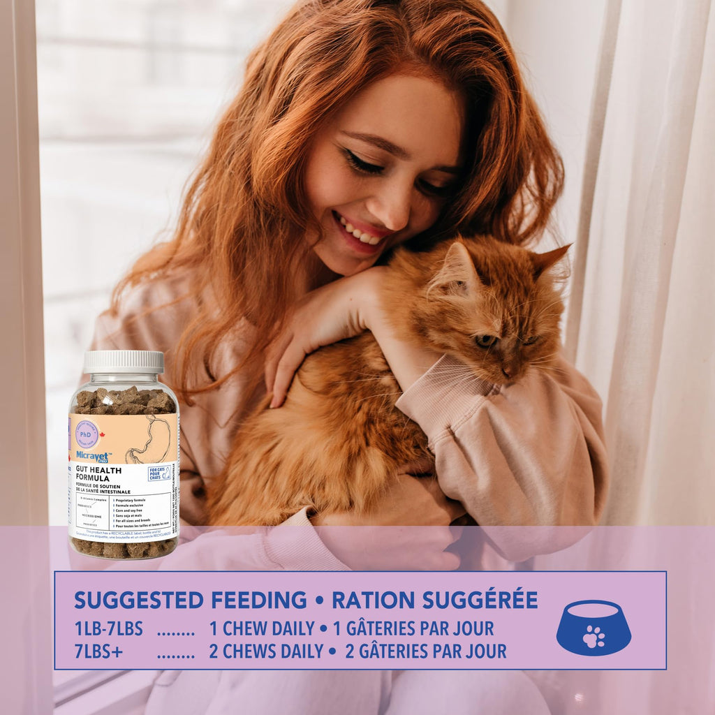 Probiotic Soft Chews for Cats Q7005