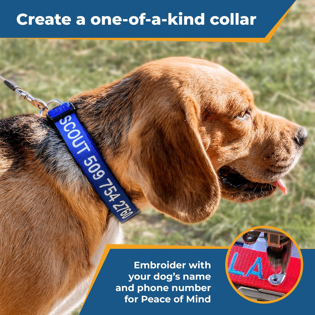 Personalized Dog Collar Q42854