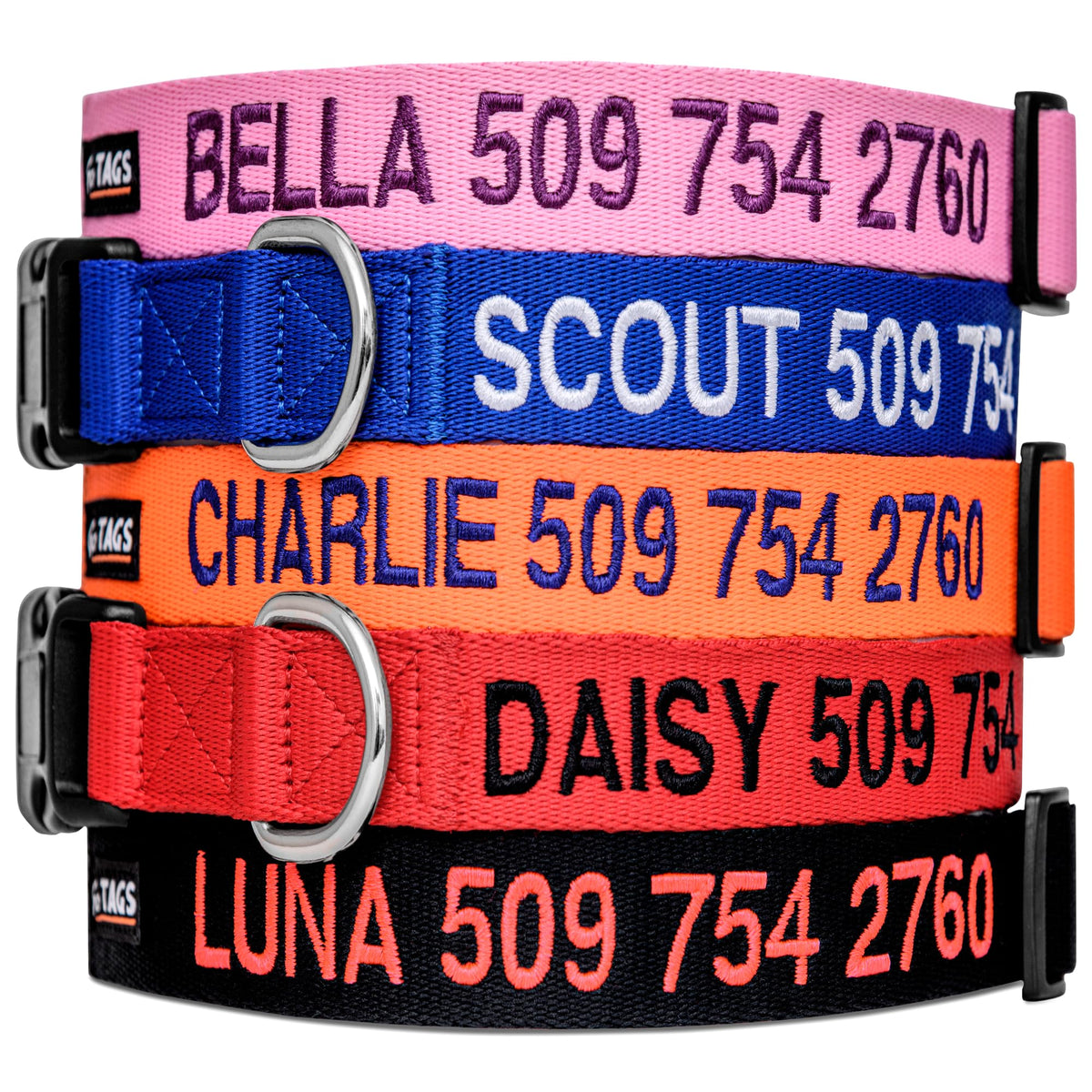 Personalized Dog Collar Q42854