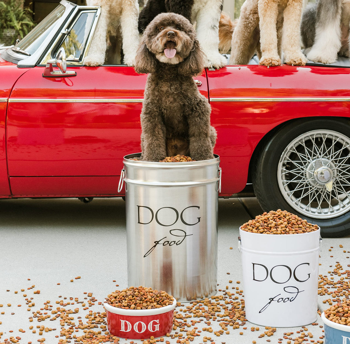 Large Airtight Stainless Steel Dog Food Storage Canister H9685