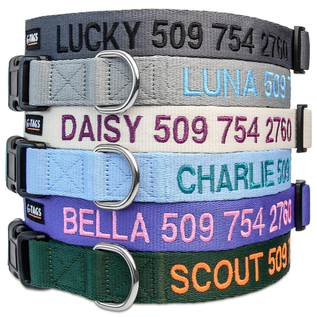 Personalized Dog Collar Q42854